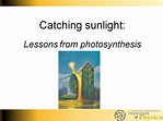 nanoHUB.org - Resources: Catching Sunlight: Lessons from Photosynthesis ...