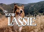 The New Lassie (TV Series 1989–1992) - IMDb