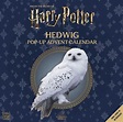 Harry Potter: Hedwig Pop-Up Advent Calendar by Matthew Reinhart ...