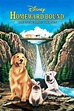 Homeward Bound: The Incredible Journey (1993) — The Movie Database (TMDB)