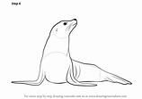 Learn How to Draw a Seal (Zoo Animals) Step by Step : Drawing Tutorials