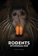 Rodents of Unusual Size (2017) Poster #1 - Trailer Addict