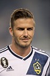 Sports Stars: David Beckham Profile, Pictures And Wallpapers