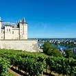 Bourgueil - Wine Region in Loire Valley, France | Winetourism.com