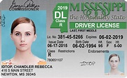 New Resident Louisiana Driver's License | Literacy Basics