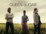 Prime Video: Queen Sugar: Season 1