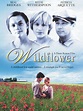 Wildflower - Full Cast & Crew - TV Guide
