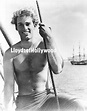 Sean Flynn Son of Errol Flynn Handsome Hollywood Star Son of Captian ...