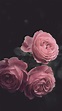 Aesthetic Black Rose Wallpapers - Wallpaper Cave