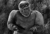El hijo de Kong (1933) - CineFantastico.com