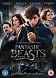 Title and first poster for Fantastic Beasts 2 unveiled | hmv.com