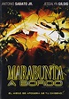 Marabunta A Bordo Swarm Destination Infestation Pelicula Dvd | Meses ...