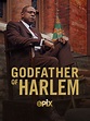 Reparto El padrino de Harlem temporada 4 - SensaCine.com