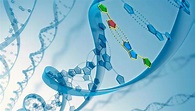 Entdeckung der DNA-Struktur: "Geheimnis des Lebens" seit 70 Jahren ...