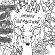 11+ Christmas Coloring Pages For Adults Printable Background - COLORIST