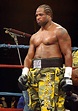 Lamon Brewster Image - Boxing Image - FightsRec.com