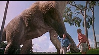 Crítica de Jurassic Park, de Steven Spielberg. La mejor película de la ...