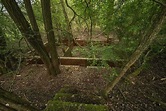 Ellerbeck Collieries (ruin)