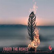 Phoenix Rising from the Ashes | The Career Butterfly