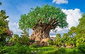 1-Day Disney's Animal Kingdom Park Itinerary - Disney Tourist Blog