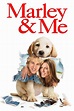 Marley & Me - Where to Watch and Stream - TV Guide