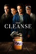 The Cleanse Picture - Image Abyss