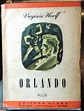 Livro Orlando - Acervo on-line do Espaço Força e Luz