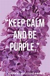 64 Quotes About Purple to Enlighten Your Soul (2024) • Colors Explained