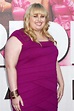 rebel wilson Picture 11 - The Premiere of Bridesmaids - Arrivals