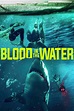 Blood in the Water (película 2022) - Tráiler. resumen, reparto y dónde ...
