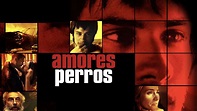 Amores Perros (2000) - Backdrops — The Movie Database (TMDB)
