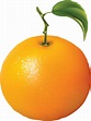 Download Orange | Oranges PNG Image for Free
