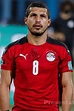 Tarek Hamed - Stats et palmarès - 23/24