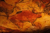 Paleolithic Cave Painting in Altamira Cave (Illustration) - Ancient ...