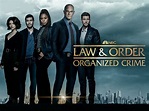 Watch Law & Order: Organized Crime, Season 3 | Prime Video