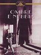 Ombre E Nebbia: Amazon.co.uk: Woody Allen, Kathy Bates, John Cusack ...