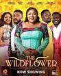 'The Wildflower' Hits N40 Million At Box Office Following Theatrical ...