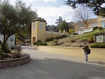 Tamalpais High School Landscape, Mill Valley, CA