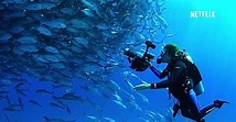 5 Deep Ocean Documentaries You Can Binge-Watch On Netflix - The ...