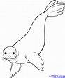 How To Draw A Seal, Step by Step, Drawing Guide, by Dawn | Sea animals ...
