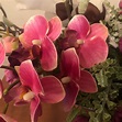 Arreglo Floral Artificial Con Magnolias, Orquídeas, Etc. | Envío gratis