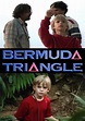 Película: El Triángulo de las Bermudas (1996) | abandomoviez.net