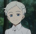 Norman - The Promised Neverland Photo (42845300) - Fanpop