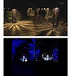 森林沉浸式夜游 | 世界上第一个投影灯光森林——幻光森林-搜狐大视野-搜狐新闻