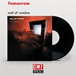 The story and meaning of the song 'Tomorrow - wall of voodoo
