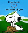 Pin by Tammy B on Peanuts | Snoopy love, Snoopy funny, Snoopy