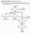 Photosynthesis Diagrams Worksheet Answers Lovely Synthesis Diagrams ...
