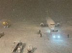 日本新千歲機場驚傳意外事故 大韓航空、國泰航空班機相撞