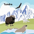 Fauna Del Bosque De La Vida Del Estilo De Eco De La Tundra Ilustración ...