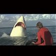 The Last Shark (1981)